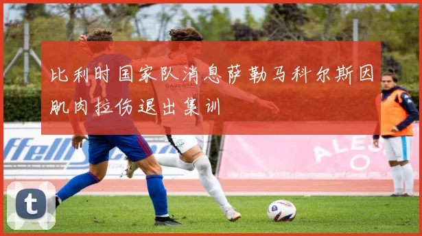 比利时国家队消息萨勒马科尔斯因肌肉拉伤退出集训