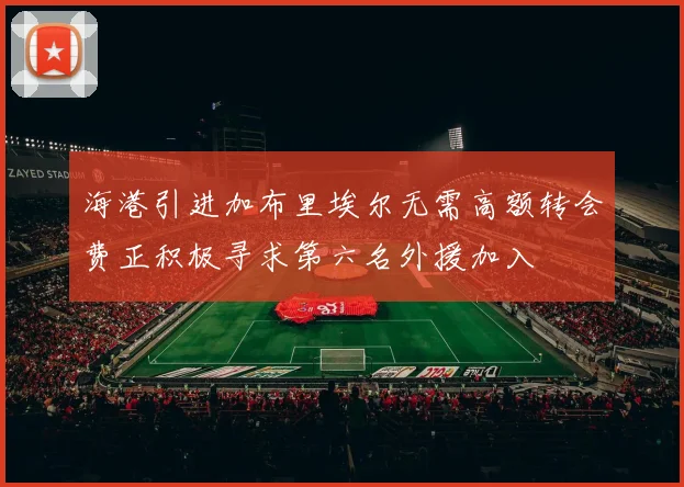 海港引进加布里埃尔无需高额转会费正积极寻求第六名外援加入