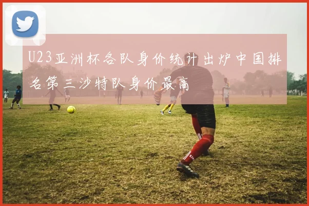 U23亚洲杯各队身价统计出炉中国排名第三沙特队身价最高
