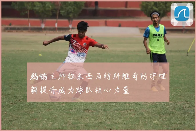 鹈鹕主帅称米西马特科维奇防守理解提升成为球队核心力量