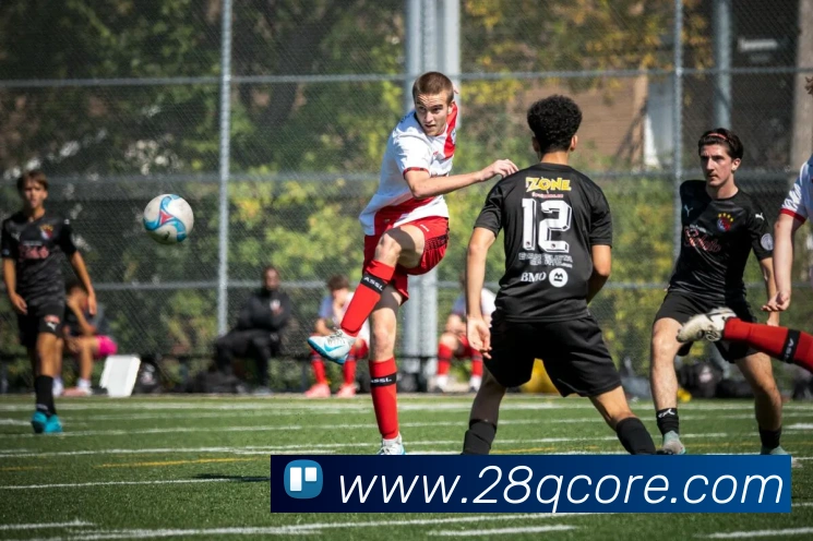 28圈平台生态图